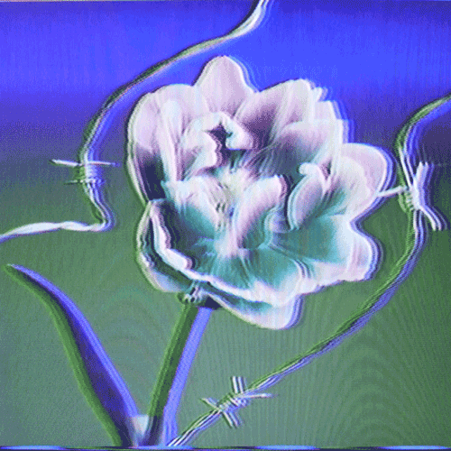 Flower 10 (animated)