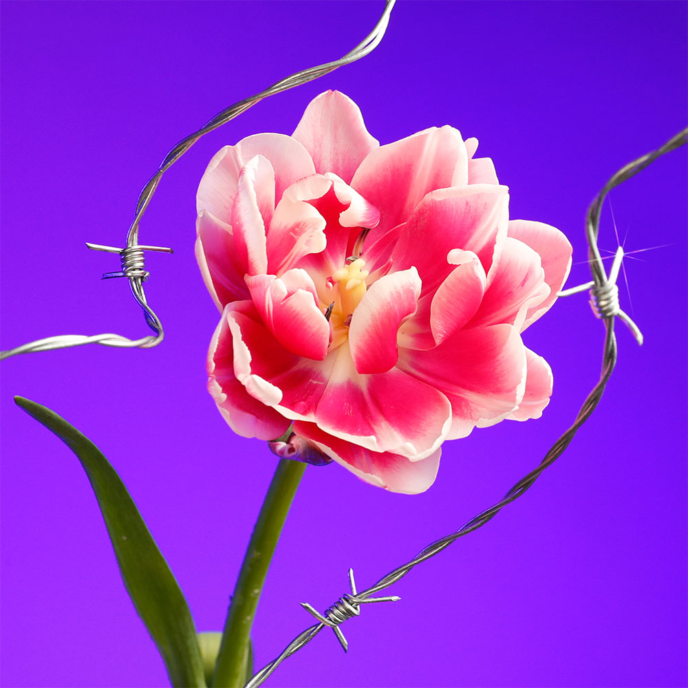 Flower 10