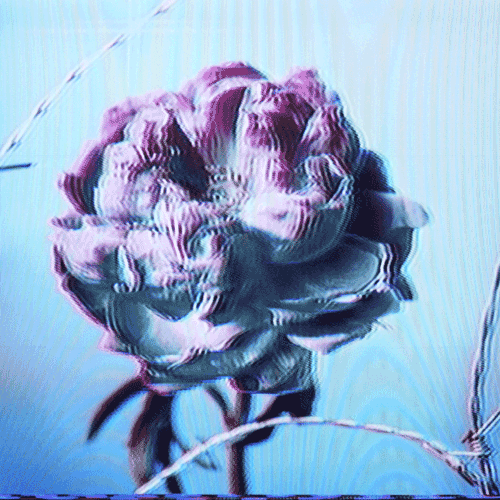 Flower 11 (animated)