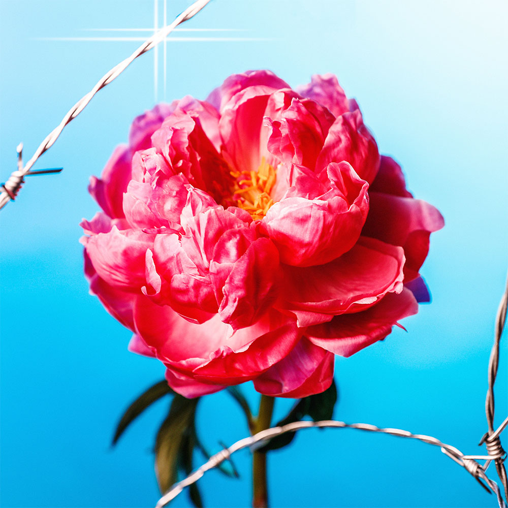 Flower 11