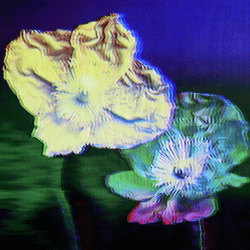 Flower 14 (animated)