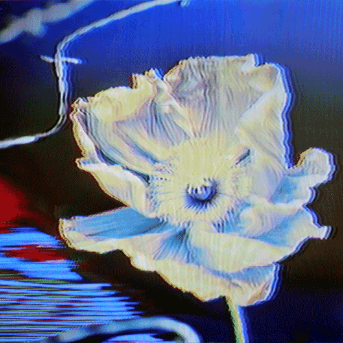 Flower 15 (animated)