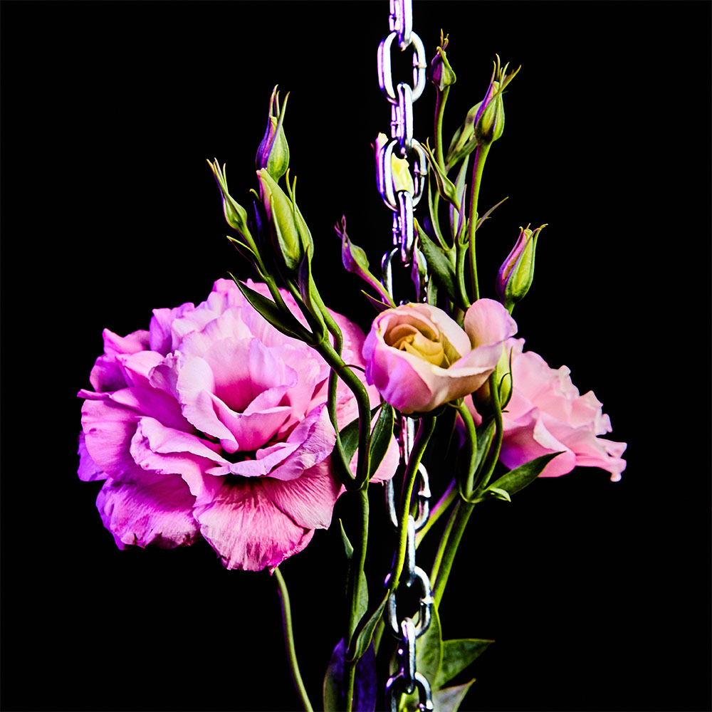 Flower 16
