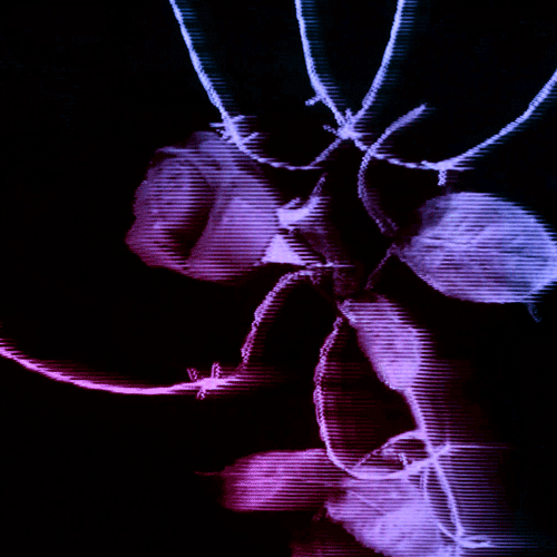 Flower 17 (animated)