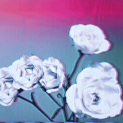 Flower 18 (animated)
