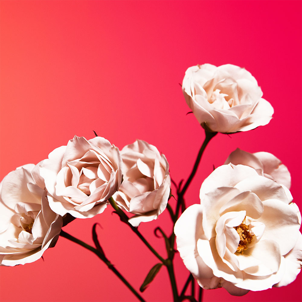 Flower 18