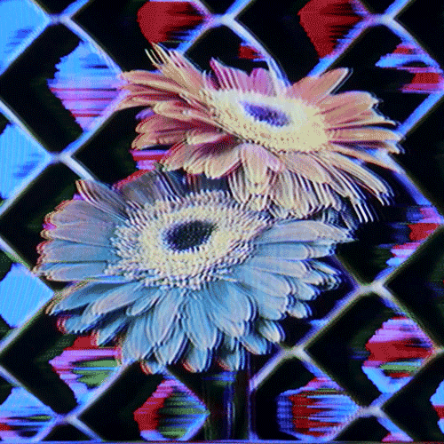 Flower 20 (animated)