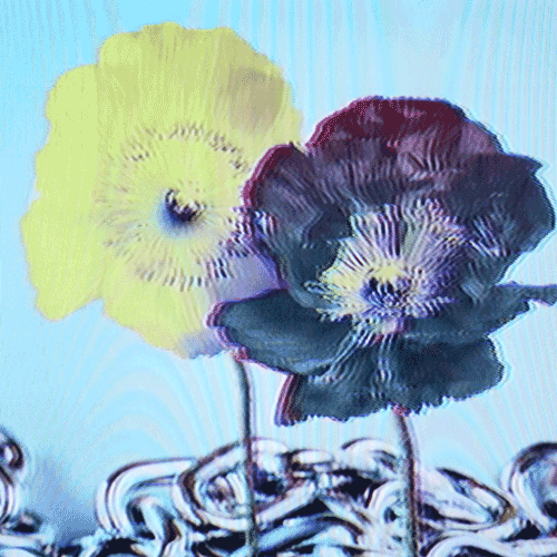 Flower 21 (animated)