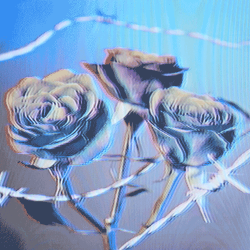 Flower 22 (animated)