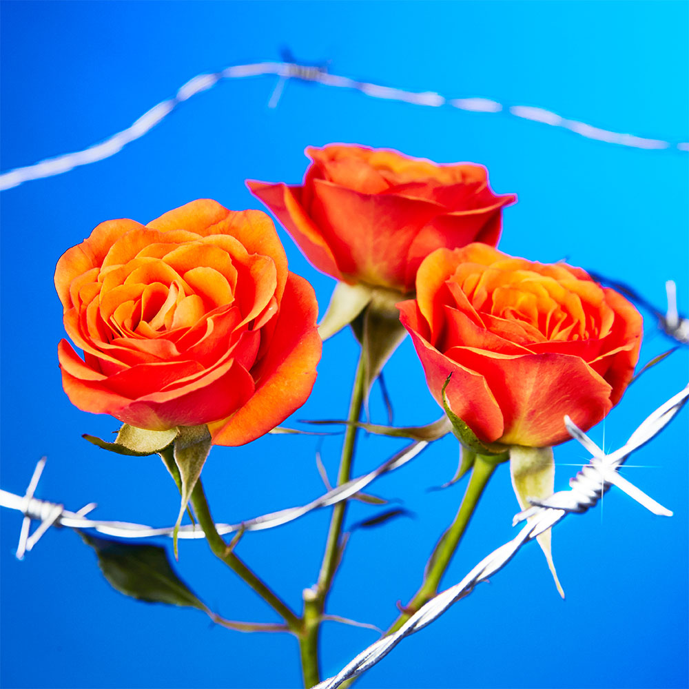 Flower 22