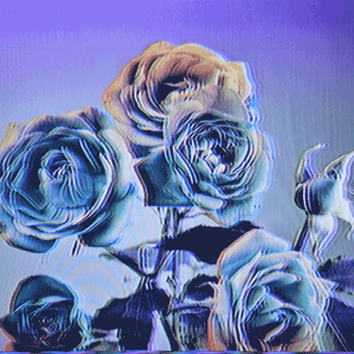 Flower 24 (animated)