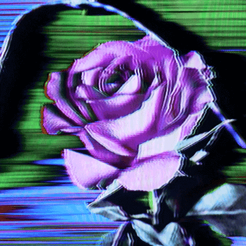 Flower 26 (animated)
