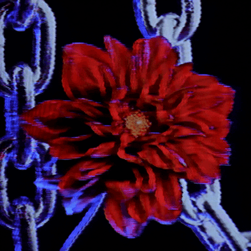 Flower 27 (animated)