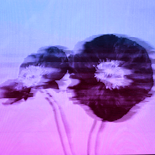 Flower 28 (animated)