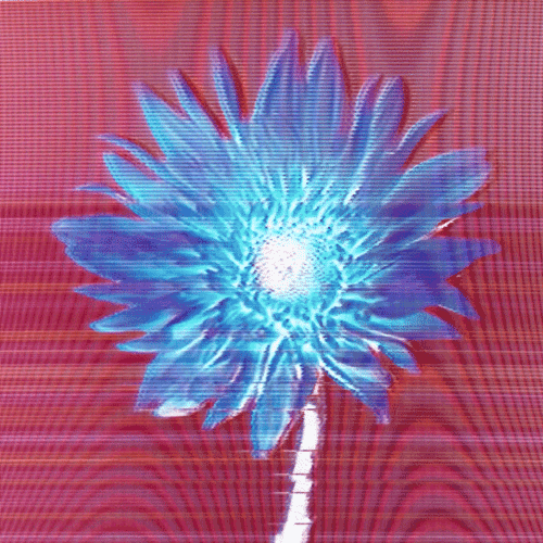 Flower 29 (animated)
