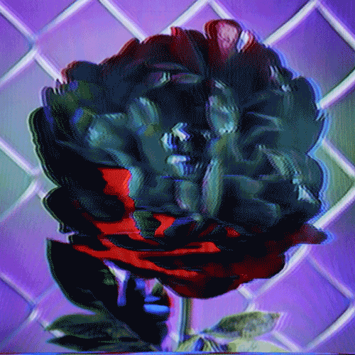Flower 30 (animated)