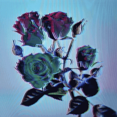 Flower 31 (animated)