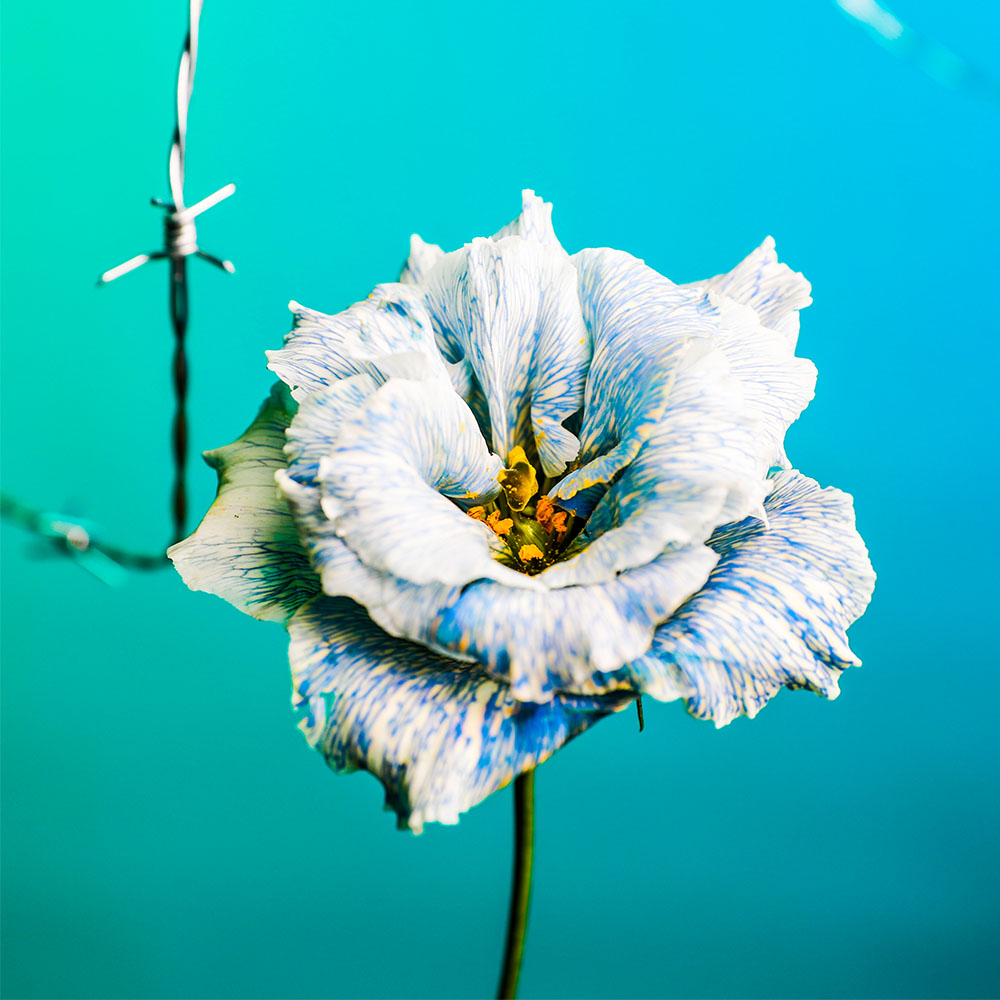Flower 32