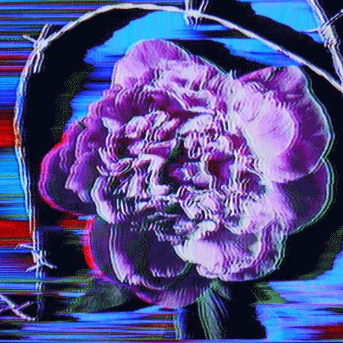 Flower 34 (animated)