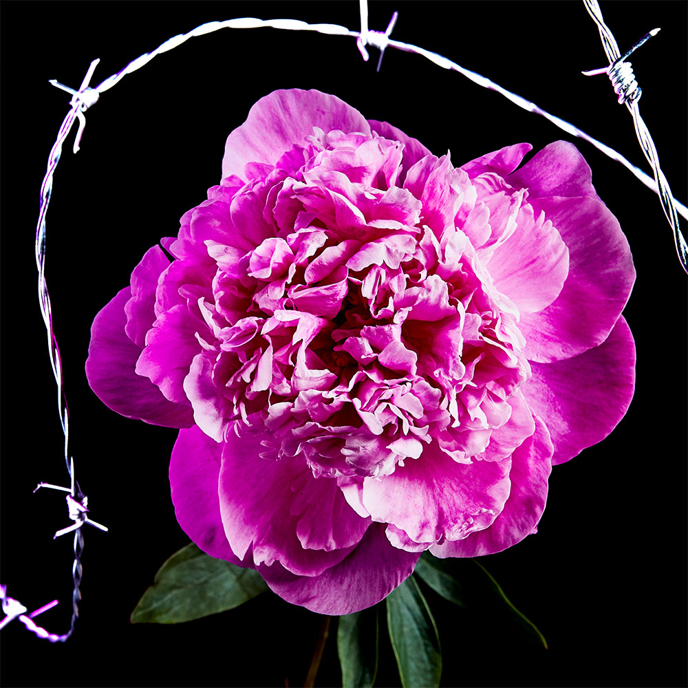 Flower 34