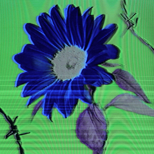 Flower 36 (animated)