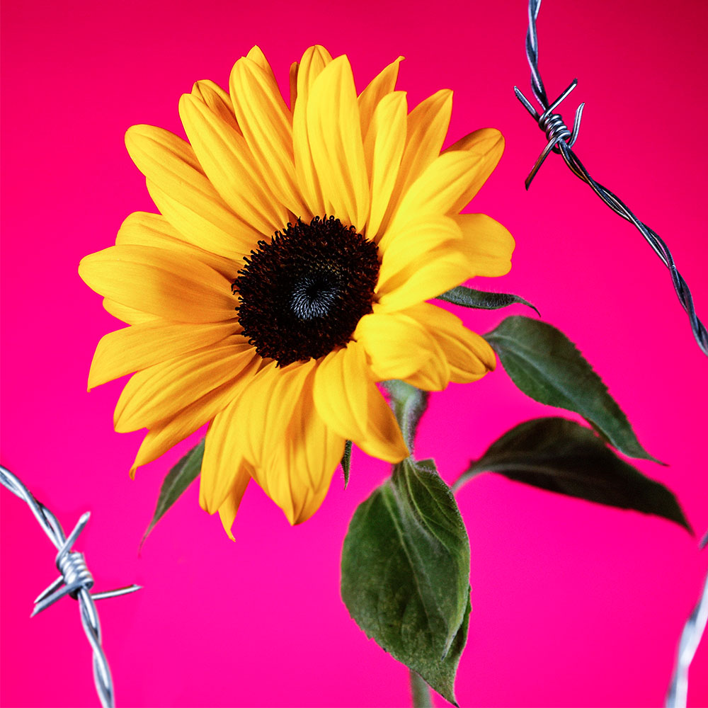 Flower 36