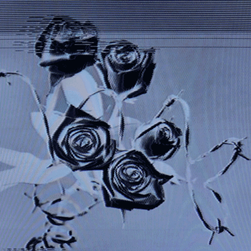 Flower 37 (animated)