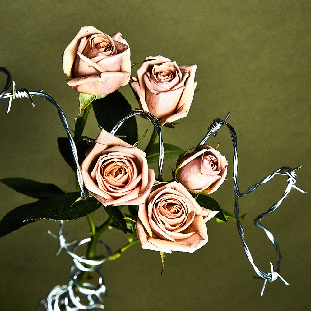 Flower 37