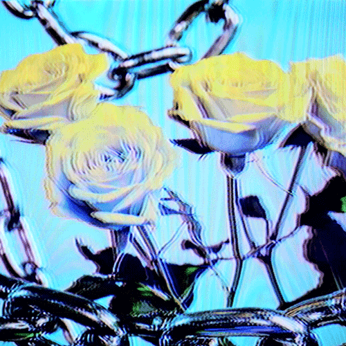 Flower 39 (animated)