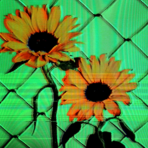 Flower 40 (animated)