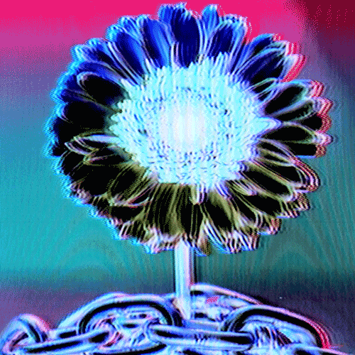 Flower 41 (animated)