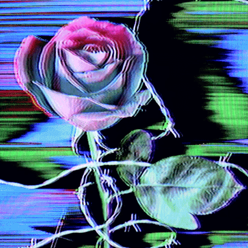 Flower 42 (animated)