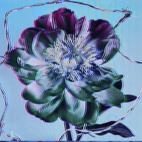 Flower 43 (animated)