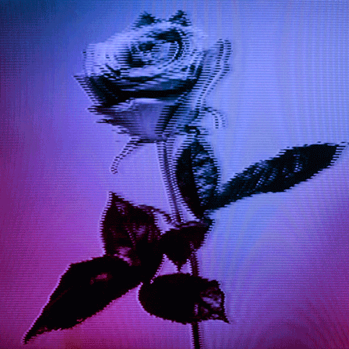 Flower 48 (animated)