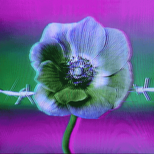 Flower 05 (animated)
