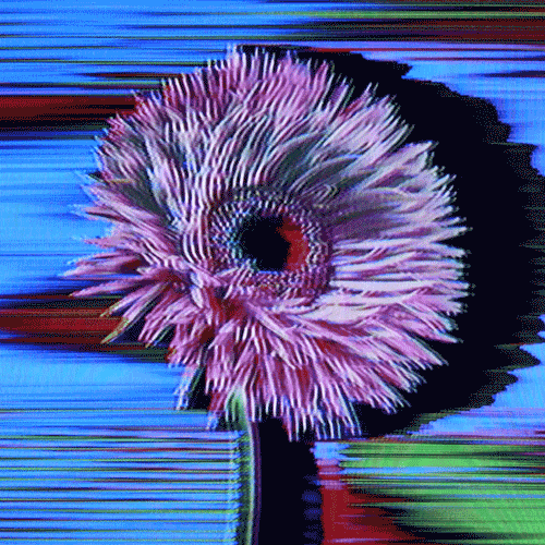 Flower 06 (animated)