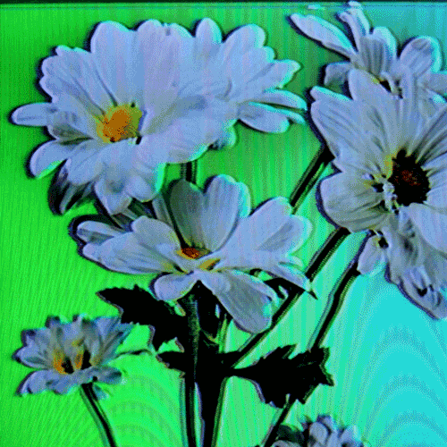Flower 07 (animated)