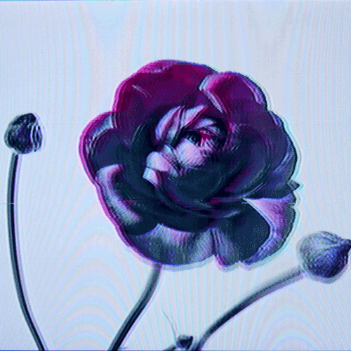 Flower 08 (animated)
