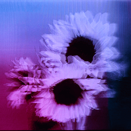 Flower 09 (animated)